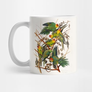 Carolina Parrot from Birds of America (1827) Mug